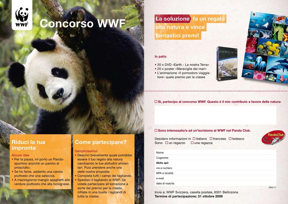 Questo è il mio contributo a favore della natura: Sono interessato/a ad un iscrizione al WWF nel Panda Club.