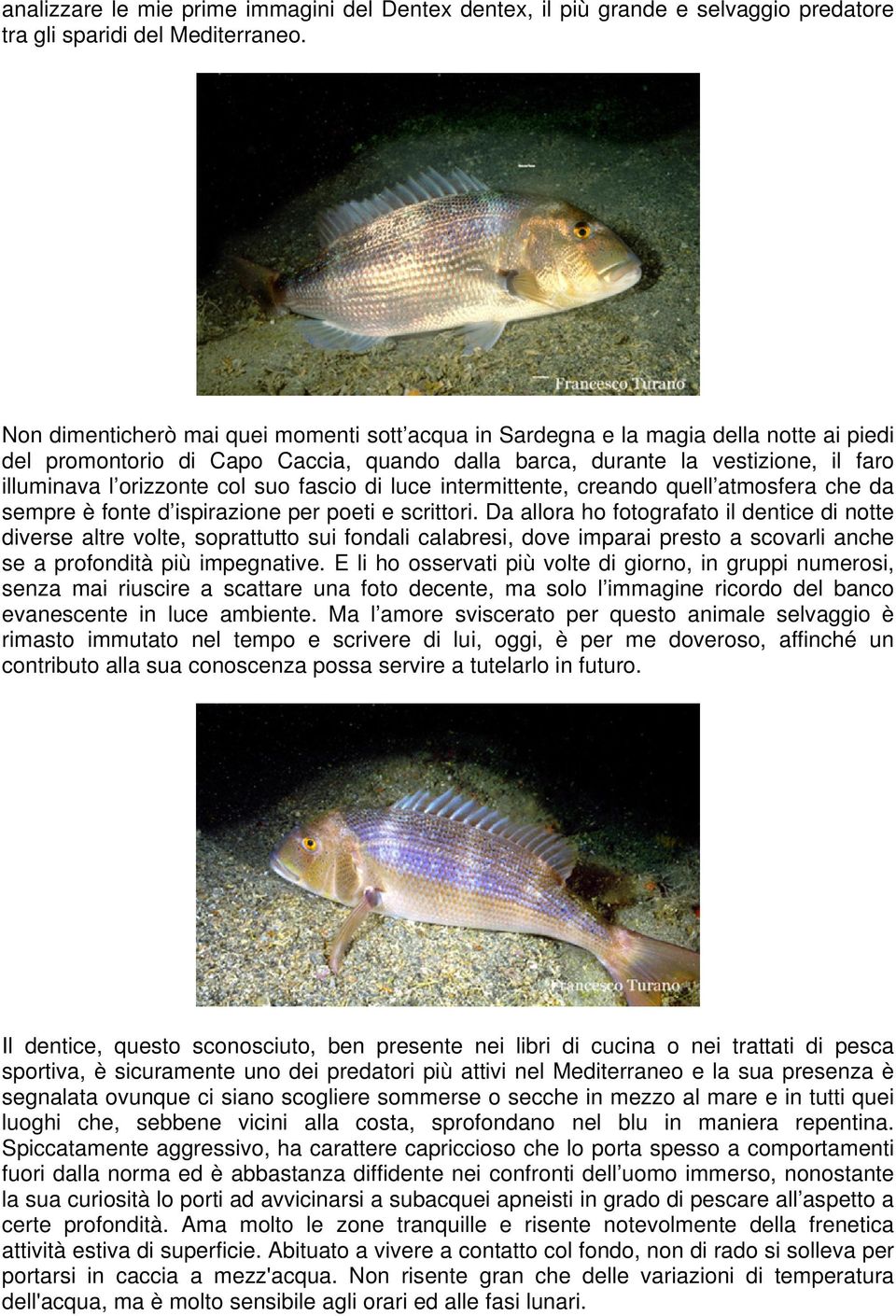 suo fascio di luce intermittente, creando quell atmosfera che da sempre è fonte d ispirazione per poeti e scrittori.