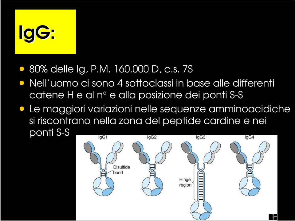 catene H e al n e alla posizione dei ponti S-S Le maggiori