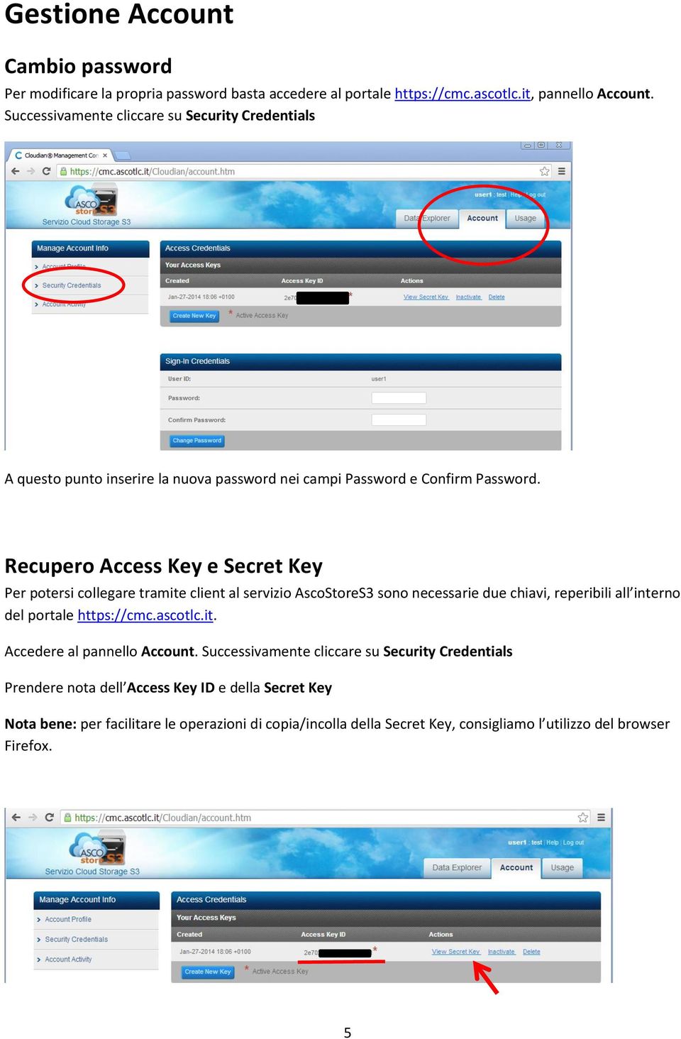 Recupero Access Key e Secret Key Per potersi collegare tramite client al servizio AscoStoreS3 sono necessarie due chiavi, reperibili all interno del portale https://cmc.