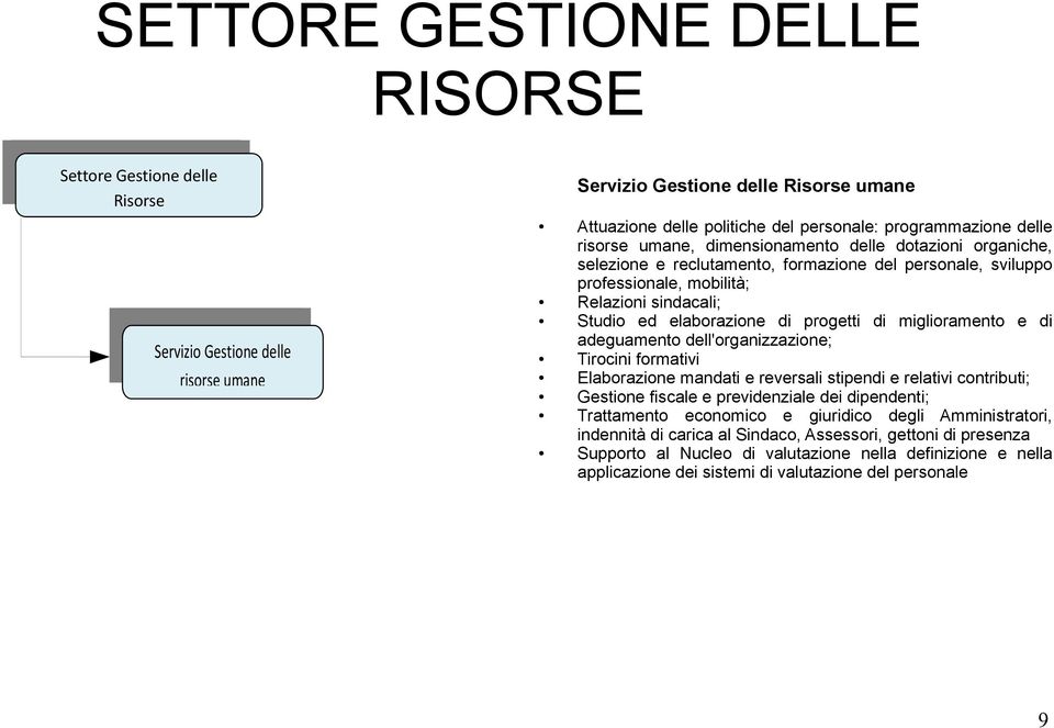 progetti di miglioramento e di adeguamento dell'organizzazione; Tirocini formativi Elaborazione mandati e reversali stipendi e relativi contributi; Gestione fiscale e previdenziale dei dipendenti;