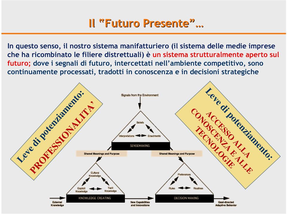 intercettati nell ambiente competitivo, sono continuamente processati, tradotti in conoscenza e in decisioni