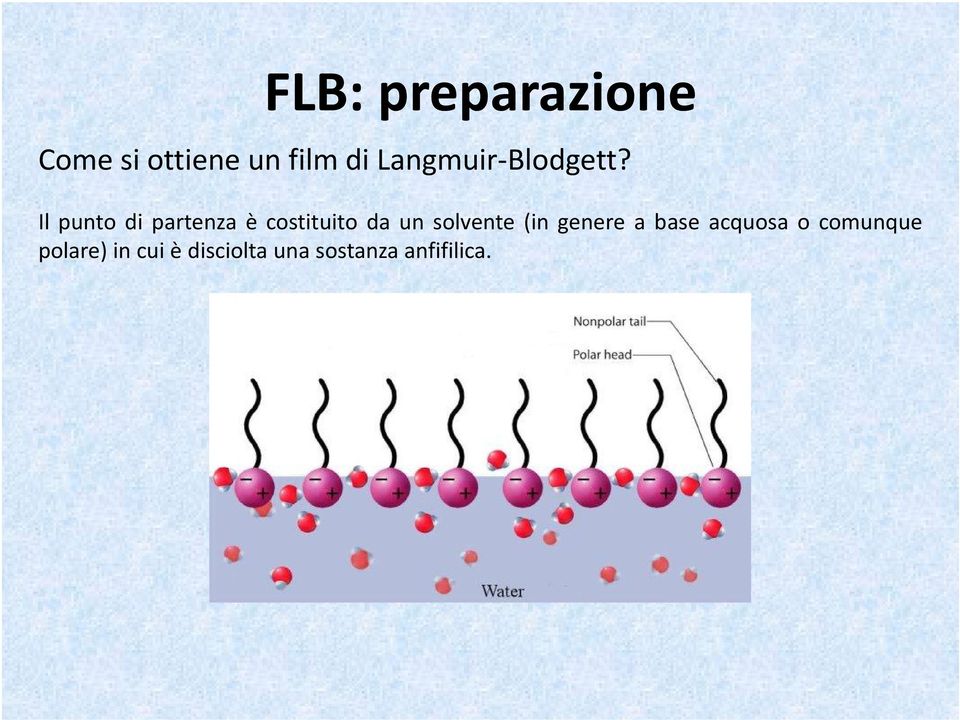 Il punto di partenza è costituito da un solvente