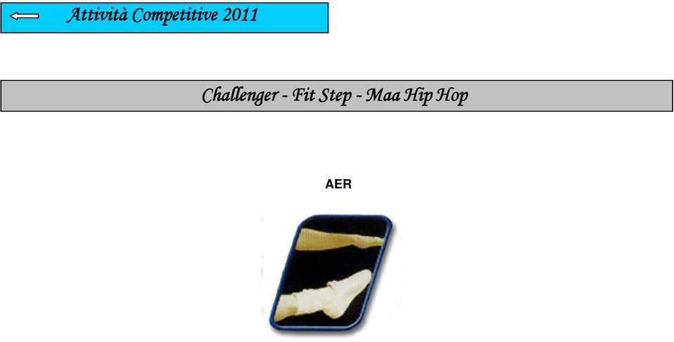 Challenger - Fit