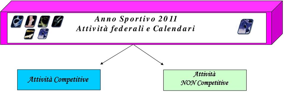 Calendari Attività