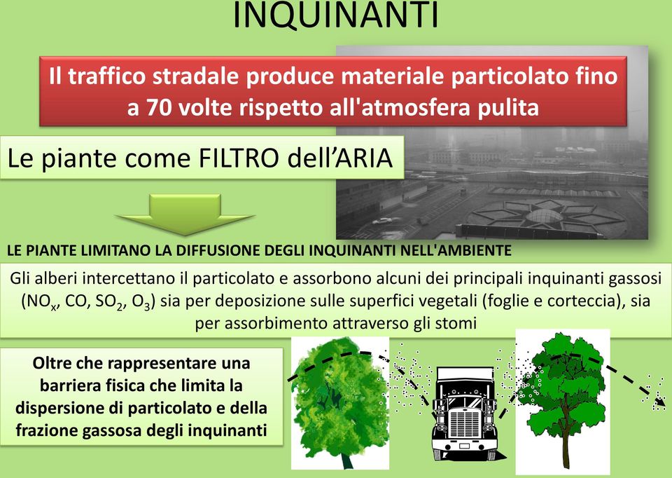 principali inquinanti gassosi (NO x, CO, SO 2, O 3 ) sia per deposizione sulle superfici vegetali (foglie e corteccia), sia per