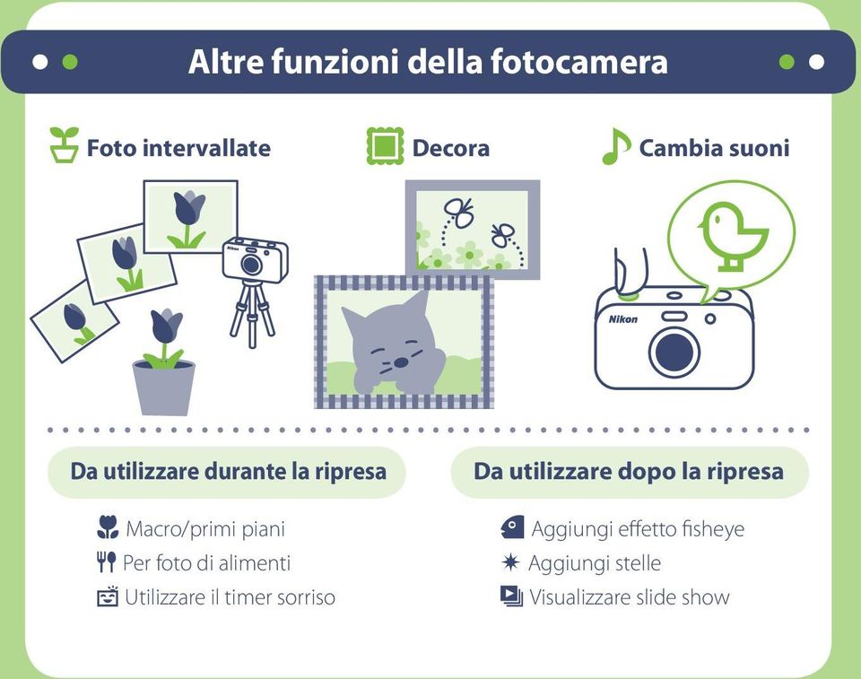 di alimenti Y Utilizzare il timer sorriso Da utilizzare dopo la