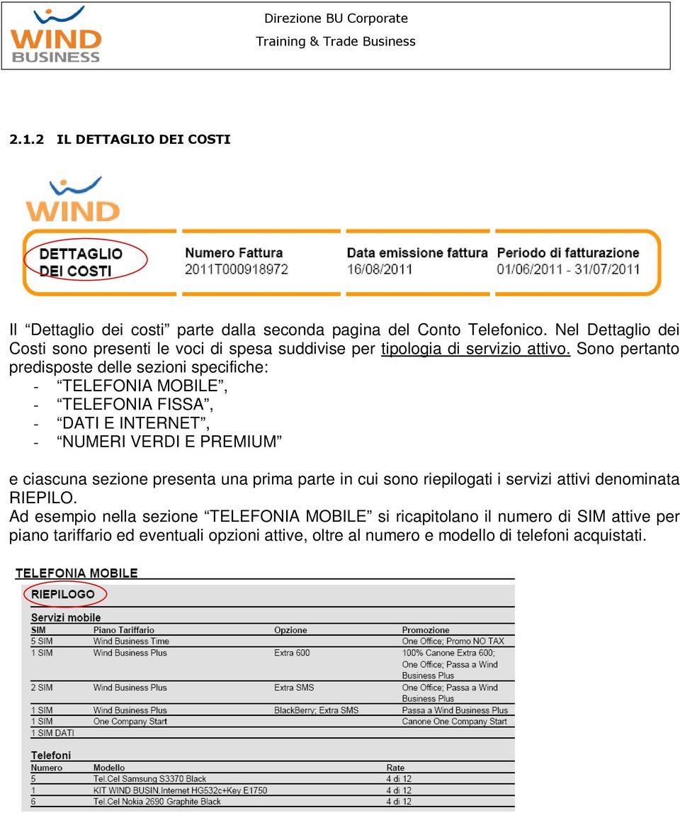 Sono pertanto predisposte delle sezioni specifiche: - TELEFONIA MOBILE, - TELEFONIA FISSA, - DATI E INTERNET, - NUMERI VERDI E PREMIUM e ciascuna sezione