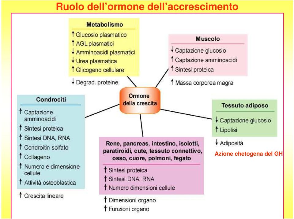 accrescimento