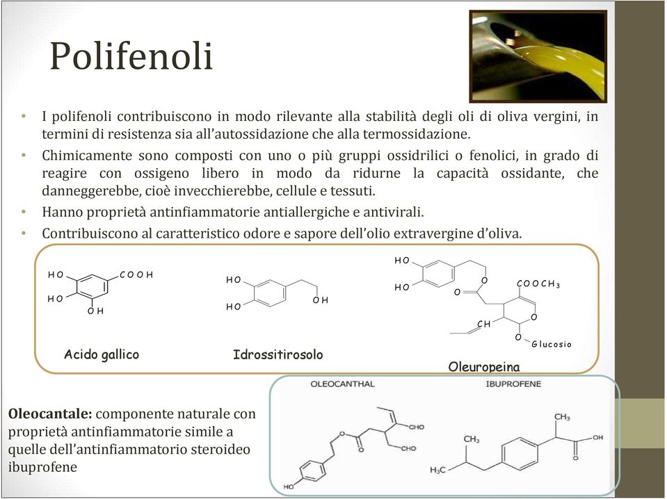 invecchierebbe, cellule e tessuti. Hanno proprietà antinfiammatorie antiallergiche e antivirali. Contribuiscono al caratteristico odore e sapore dell olio extravergine d oliva.