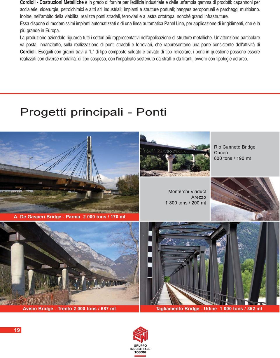 Inoltre, nell'ambito della viabilità, realizza ponti stradali, ferroviari e a lastra ortotropa, nonché grandi infrastrutture.