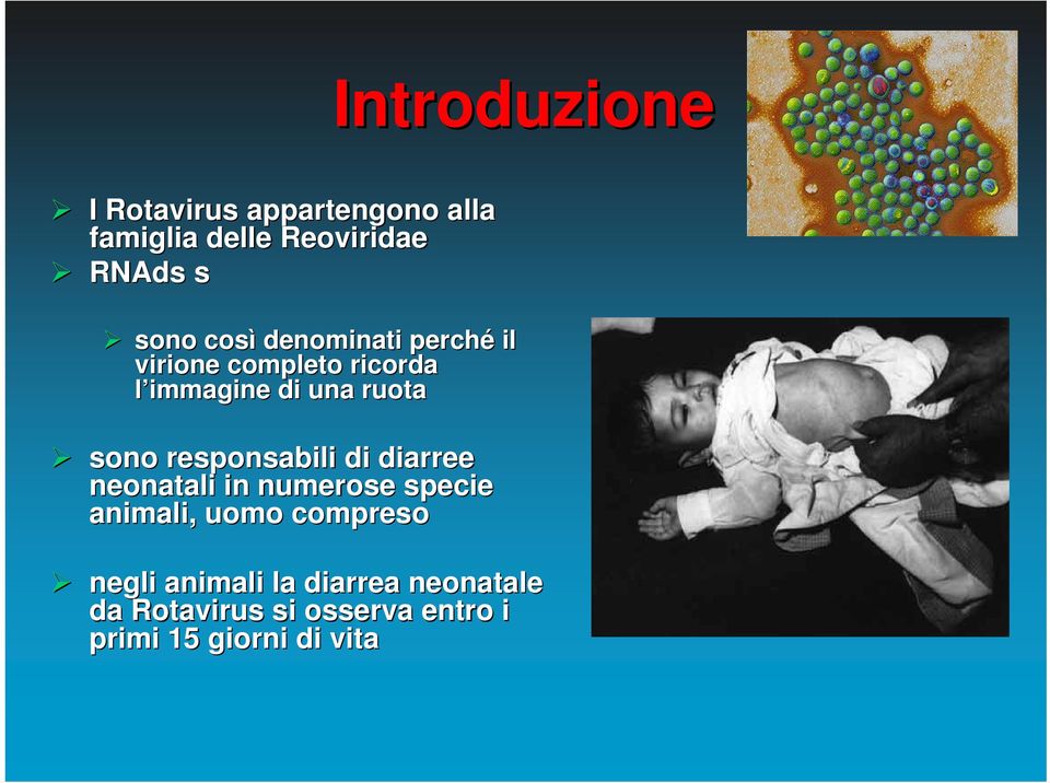 responsabili di diarree neonatali in numerose specie animali, uomo compreso negli