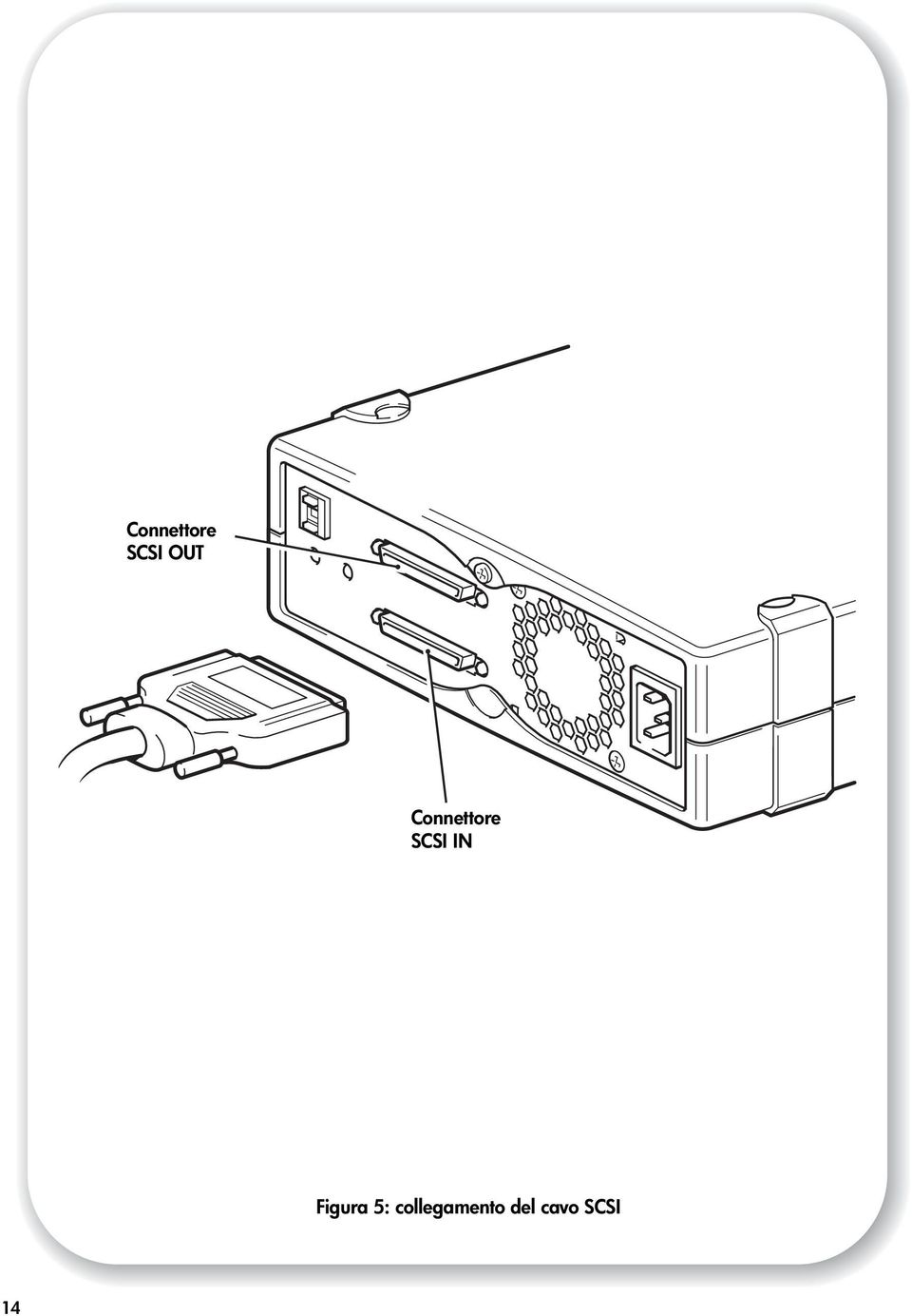 Figura 5: