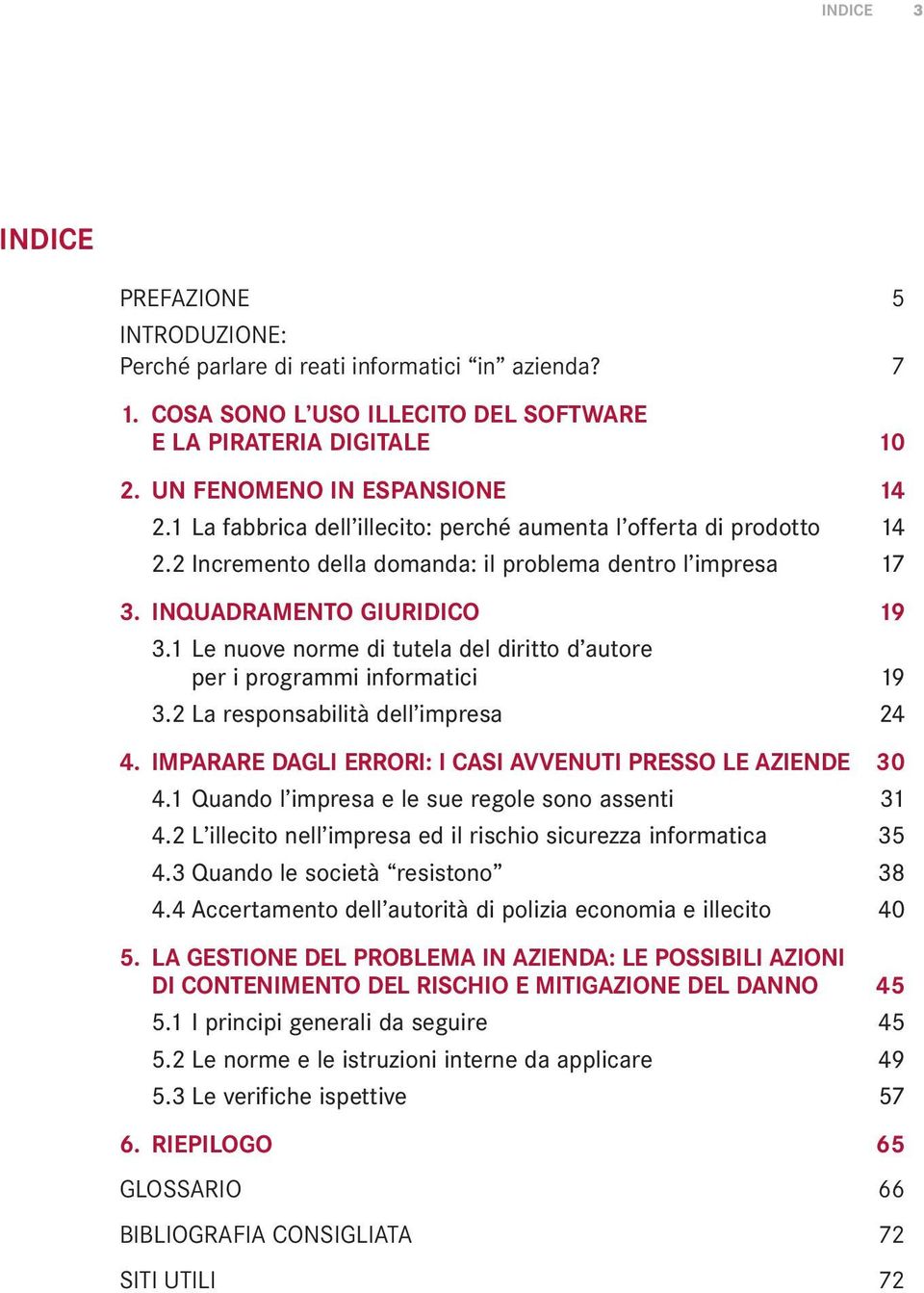 1 Le nuove norme di tutela del diritto d autore per i programmi informatici 19 3.2 La responsabilità dell impresa 24 4. IMPARARE DAGLI ERRORI: I CASI AVVENUTI PRESSO LE AZIENDE 30 4.