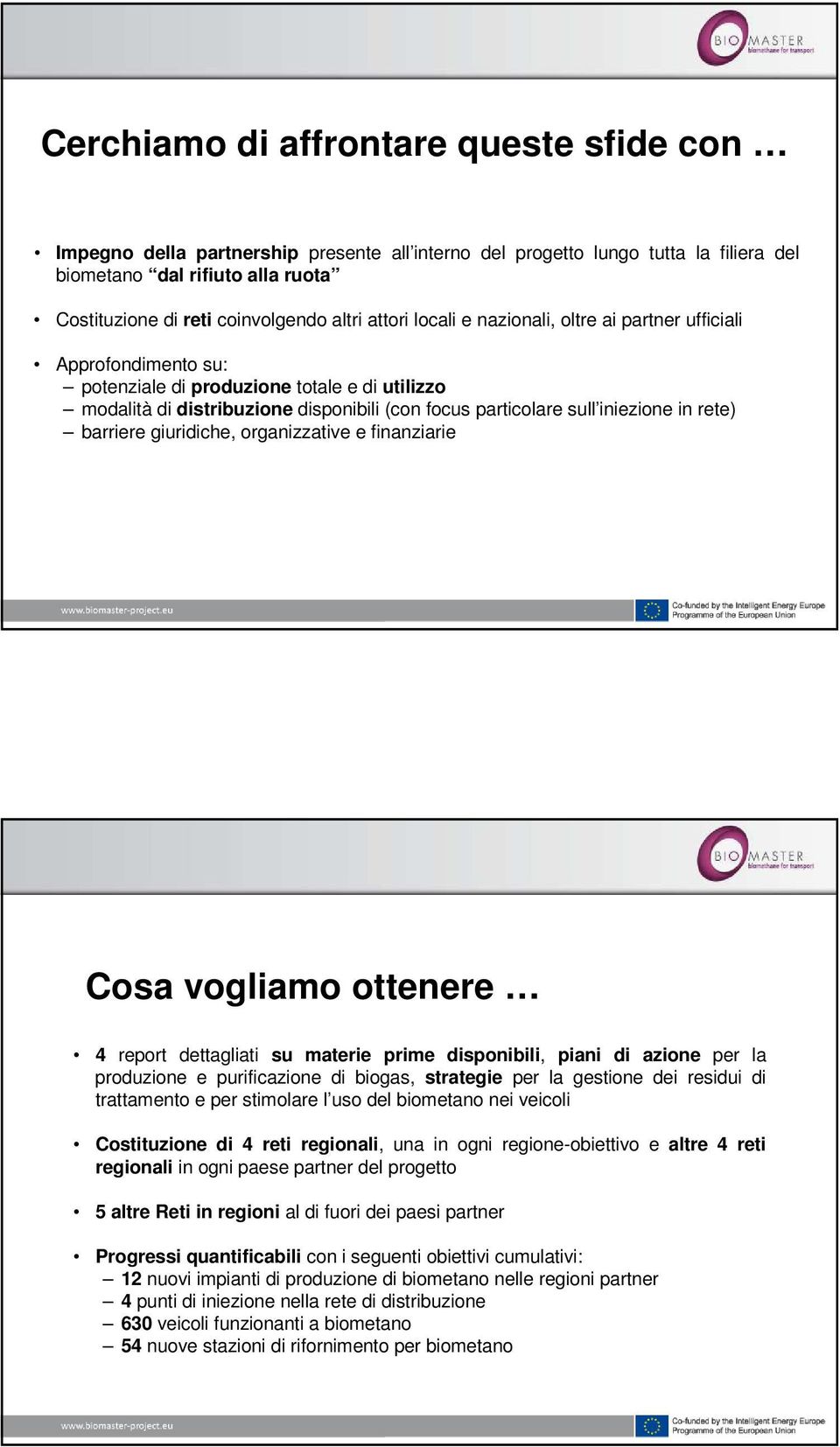 iniezione in rete) barriere giuridiche, organizzative e finanziarie Cosa vogliamo ottenere 4 report dettagliati su materie prime disponibili, piani di azione per la produzione e purificazione di