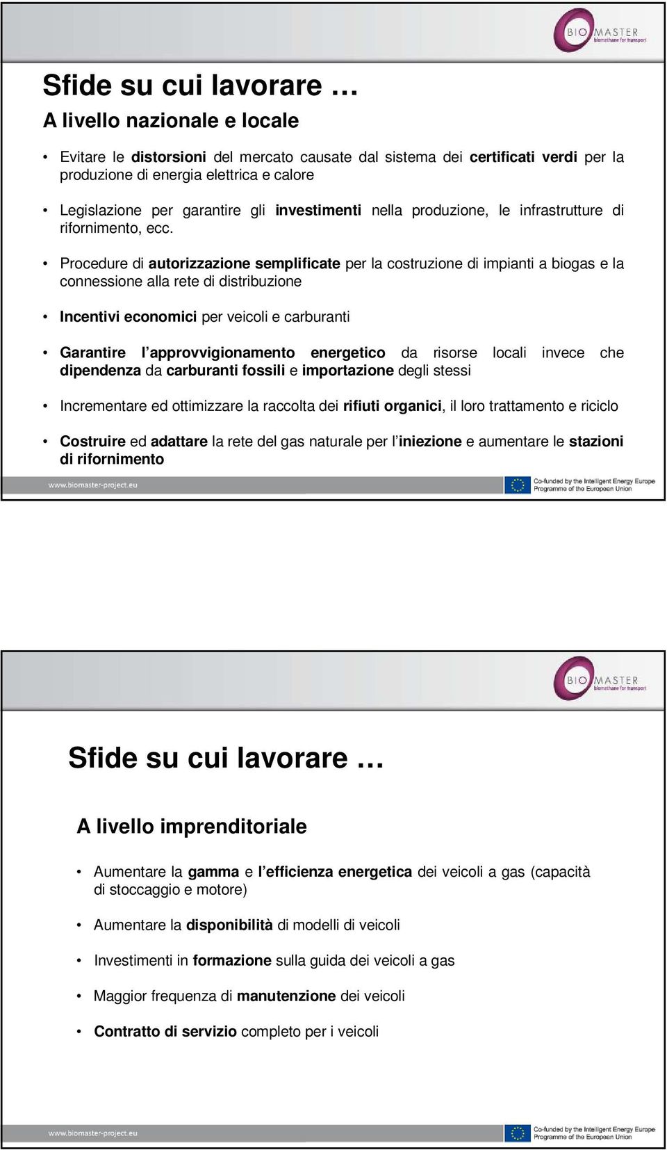 Procedure di autorizzazione semplificate per la costruzione di impianti a biogas e la connessione alla rete di distribuzione Incentivi economici per veicoli e carburanti Garantire l