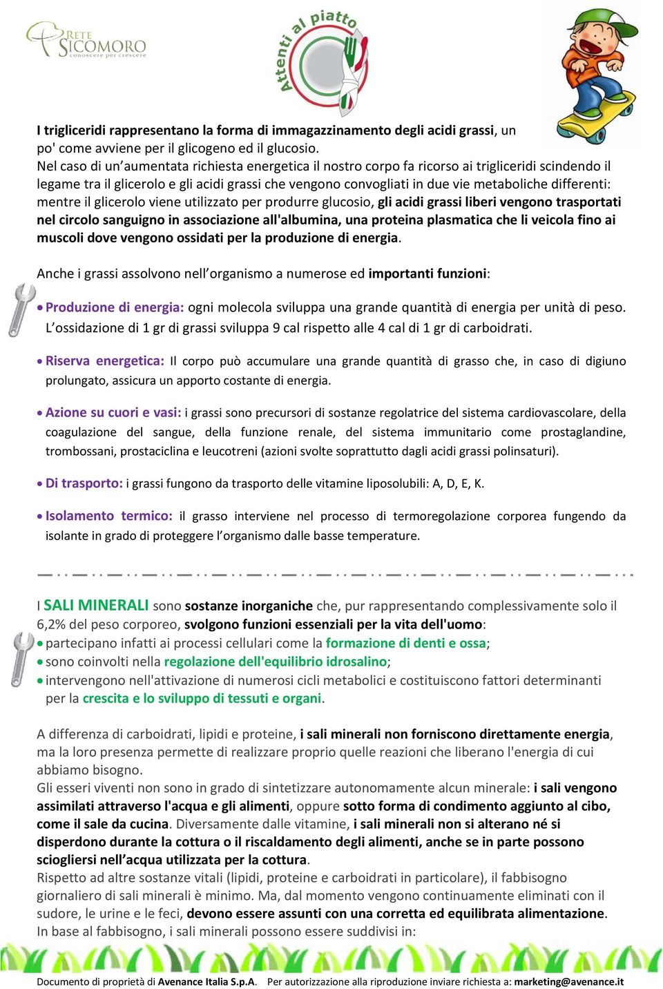 differenti: mentre il glicerolo viene utilizzato per produrre glucosio, gli acidi grassi liberi vengono trasportati nel circolo sanguigno in associazione all'albumina, una proteina plasmatica che li