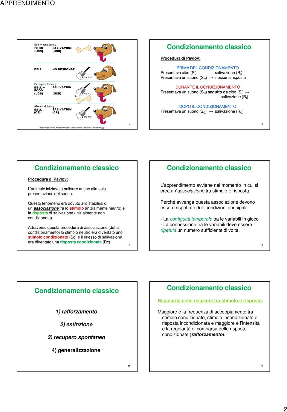 com/katie+animal+behavior+and+ecology 7 8 Procedura di Pavlov: L animale iniziava a salivare anche alla sola presentazione del suono.