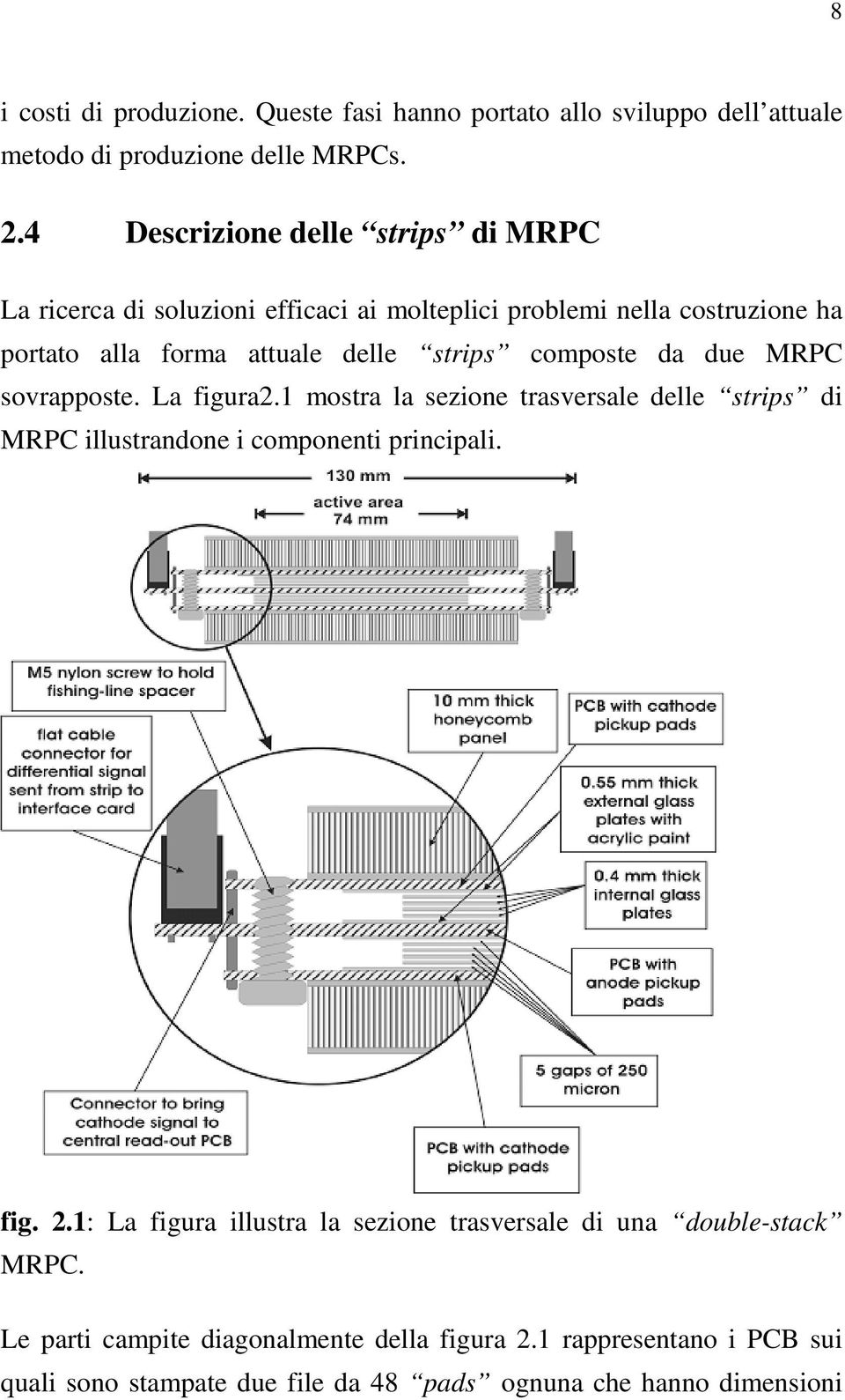 composte da due MRPC sovrapposte. La figura2.1 mostra la sezione trasversale delle strips di MRPC illustrandone i componenti principali. fig. 2.