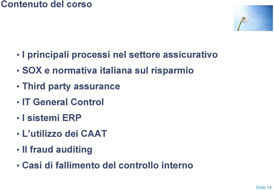 party assurance IT General Control I sistemi ERP L utilizzo