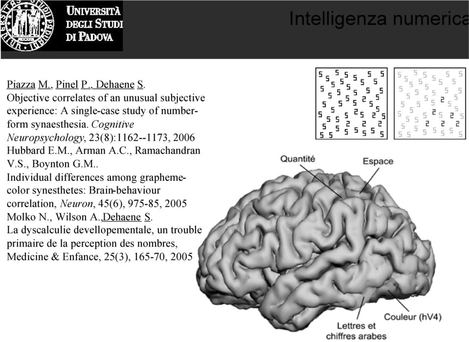 Cognitive Neuropsychology, 23(8):1162--1173, 2006 Hubbard E.M.