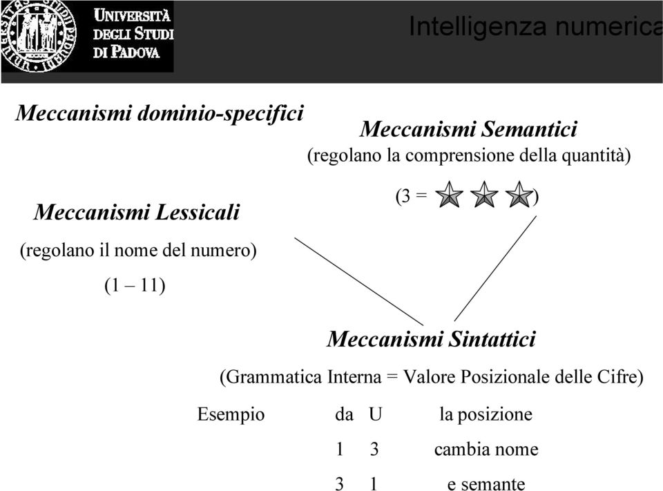 nome del numero) (1 11) Meccanismi Sintattici (Grammatica Interna =