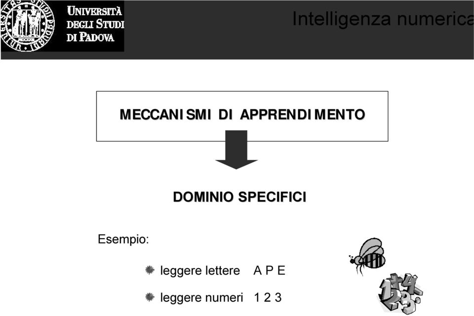 SPECIFICI Esempio: