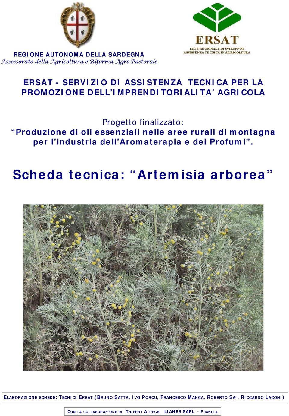 montagna per l industria dell Aromaterapia e dei Profumi.