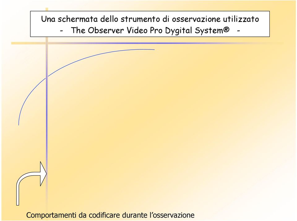 Observer Video Pro Dygital System -