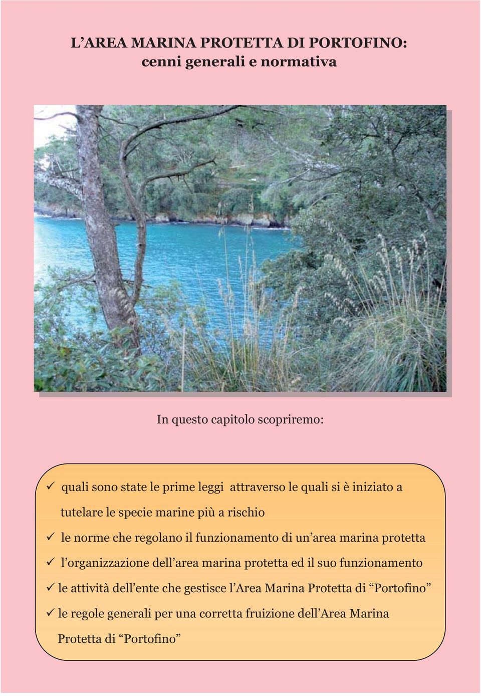 di un area marina protetta l organizzazione dell area marina protetta ed il suo funzionamento le attività dell ente che