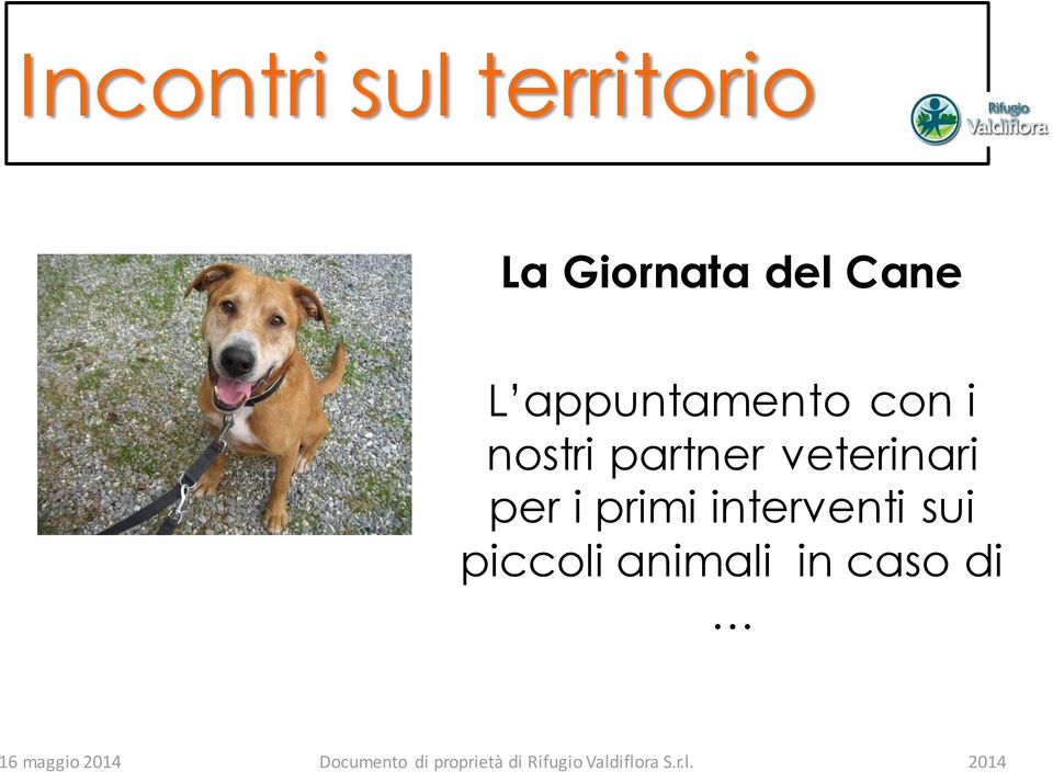 partner veterinari per i primi