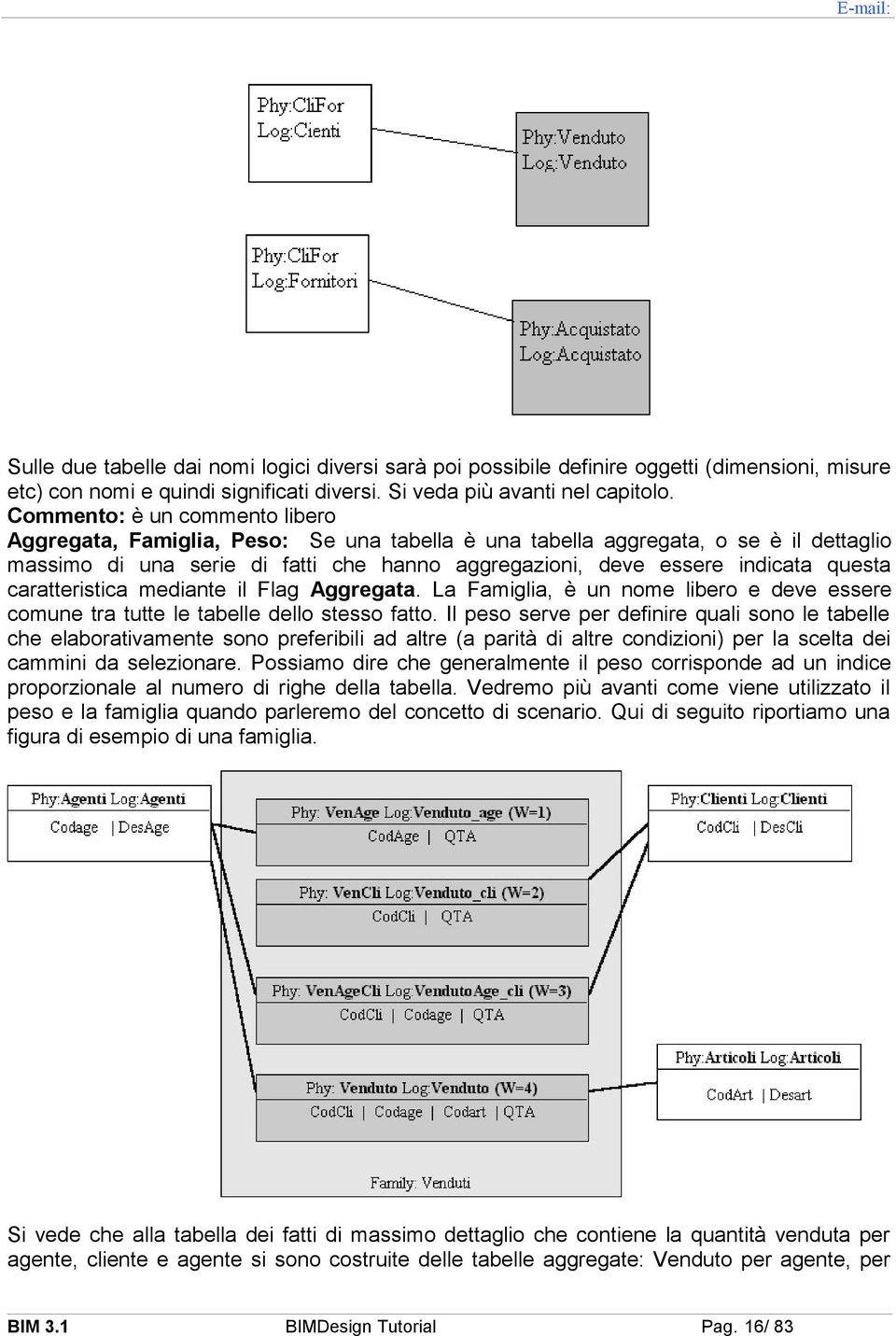 caratteristica mediante il Flag Aggregata. La Famiglia, è un nome libero e deve essere comune tra tutte le tabelle dello stesso fatto.