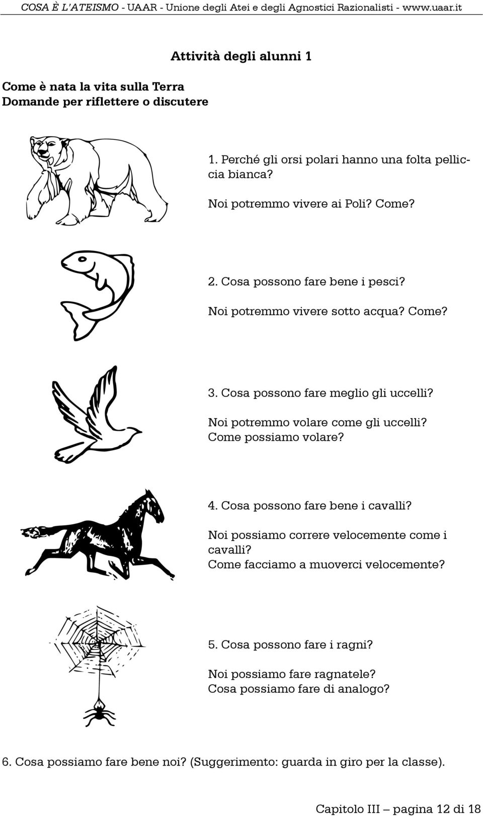 Noi potremmo volare come gli uccelli? Come possiamo volare? 4. Cosa possono fare bene i cavalli? Noi possiamo correre velocemente come i cavalli?