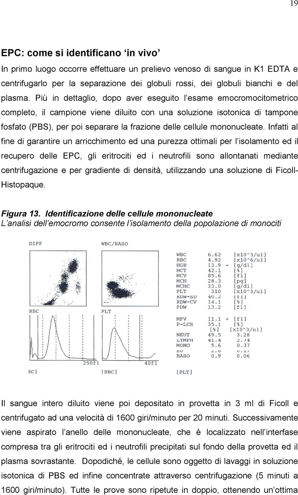 mononucleate.