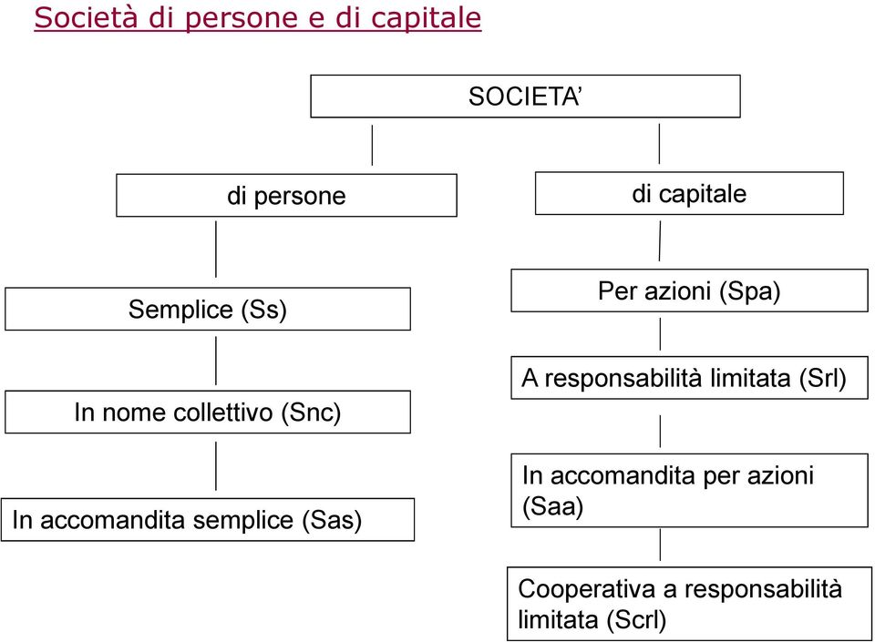 (Sas) Per azioni (Spa) A responsabilità limitata (Srl) In