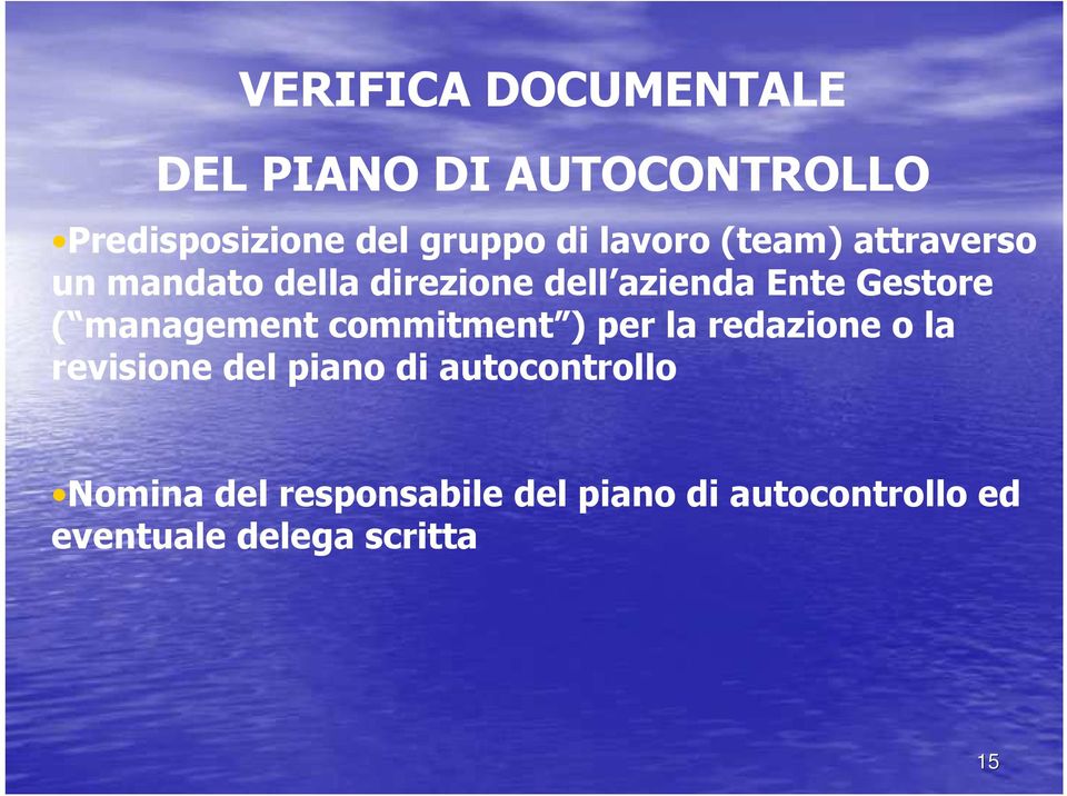 management commitment ) per la redazione o la revisione del piano di