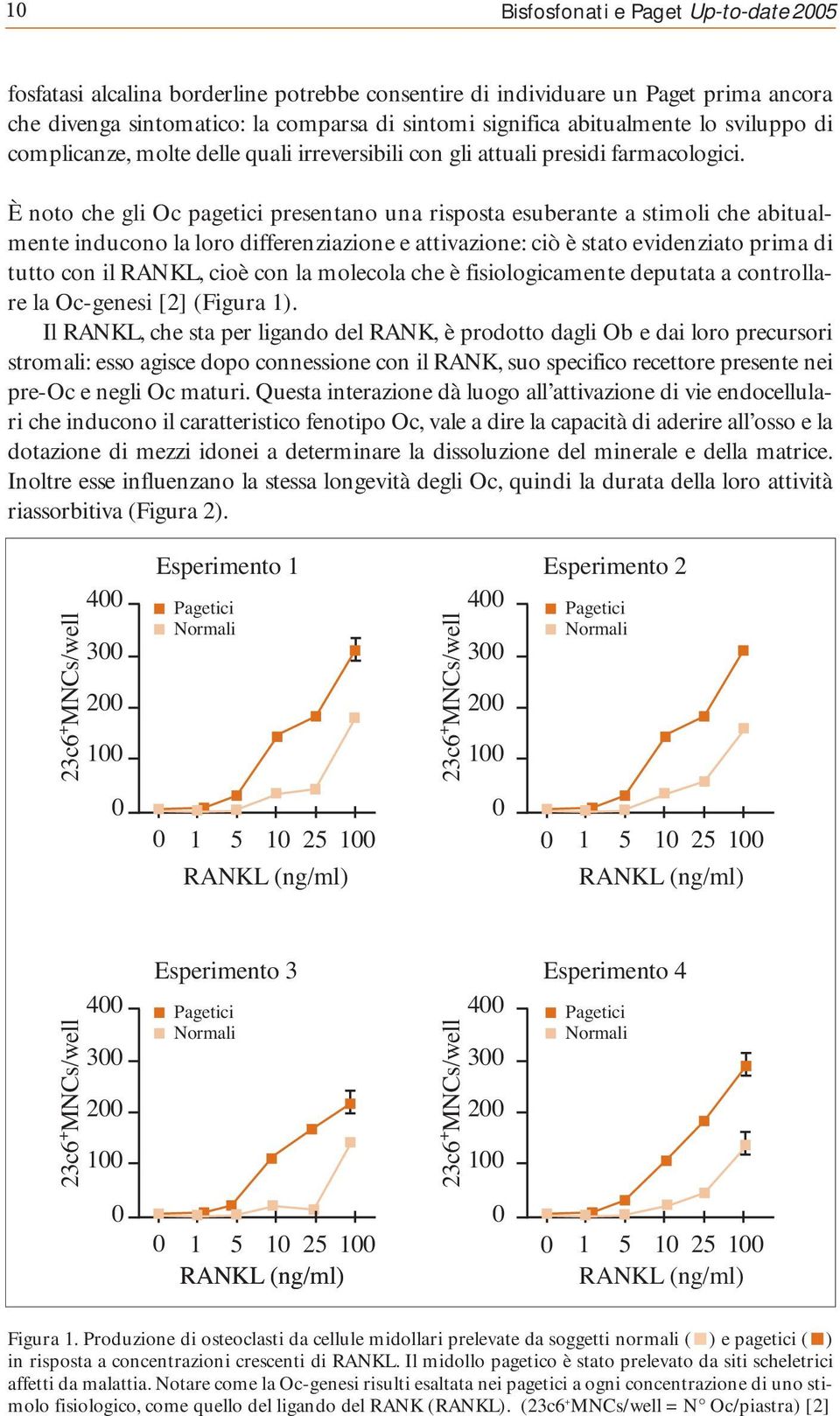 È noto che gli Oc pagetici presentano una risposta esuberante a stimoli che abitualmente inducono la loro differenziazione e attivazione: ciò è stato evidenziato prima di tutto con il RANKL, cioè con