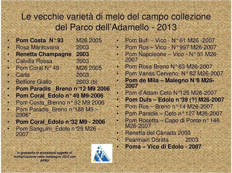 Sanguinì_Edolo n 29 M26-2007 In grassetto le accessioni oggetto di moltiplicazione nella campagna 2012 con APAV Pom Bufì Vico - N 61 M26-2007 Pom Ros Vico - N 997 M26-2007 Pom Napoleone Vico - N 51