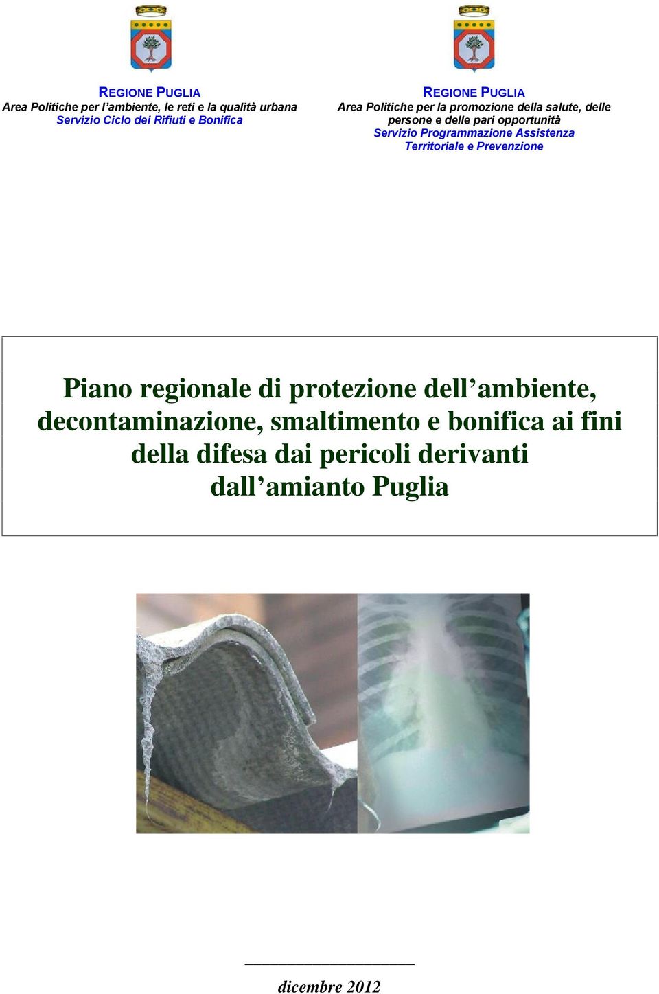 Servizio Programmazione Assistenza Territoriale e Prevenzione Piano regionale di protezione dell ambiente,