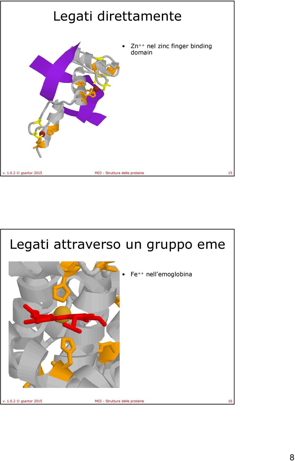 2 gsartor 2015 M03 - Struttura delle proteine 15 Legati