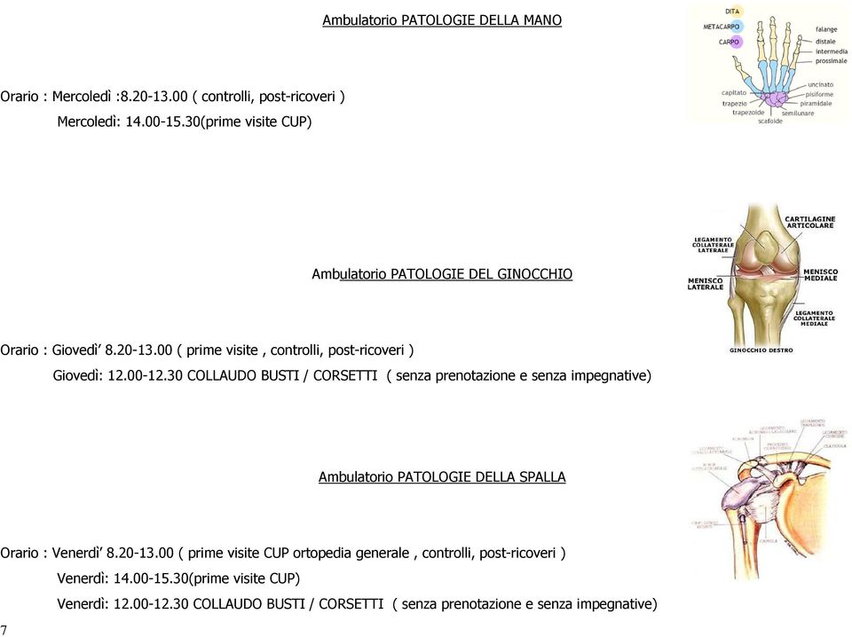 30 COLLAUDO BUSTI / CORSETTI ( senza prenotazione e senza impegnative) Ambulatorio PATOLOGIE DELLA SPALLA Orario : Venerdì 8.20-13.