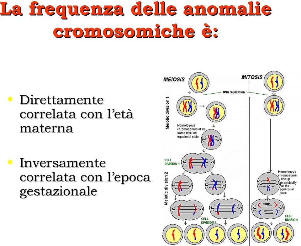 correlata con l età materna