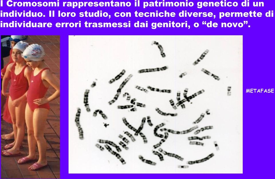 Il loro studio, con tecniche diverse,