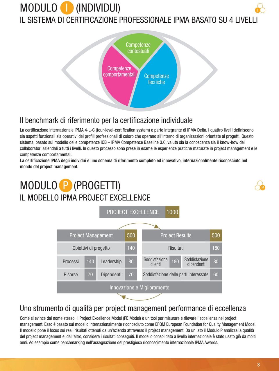I quattro livelli definiscono sia aspetti funzionali sia operativi dei profili professionali di coloro che operano all interno di organizzazioni orientate ai progetti.