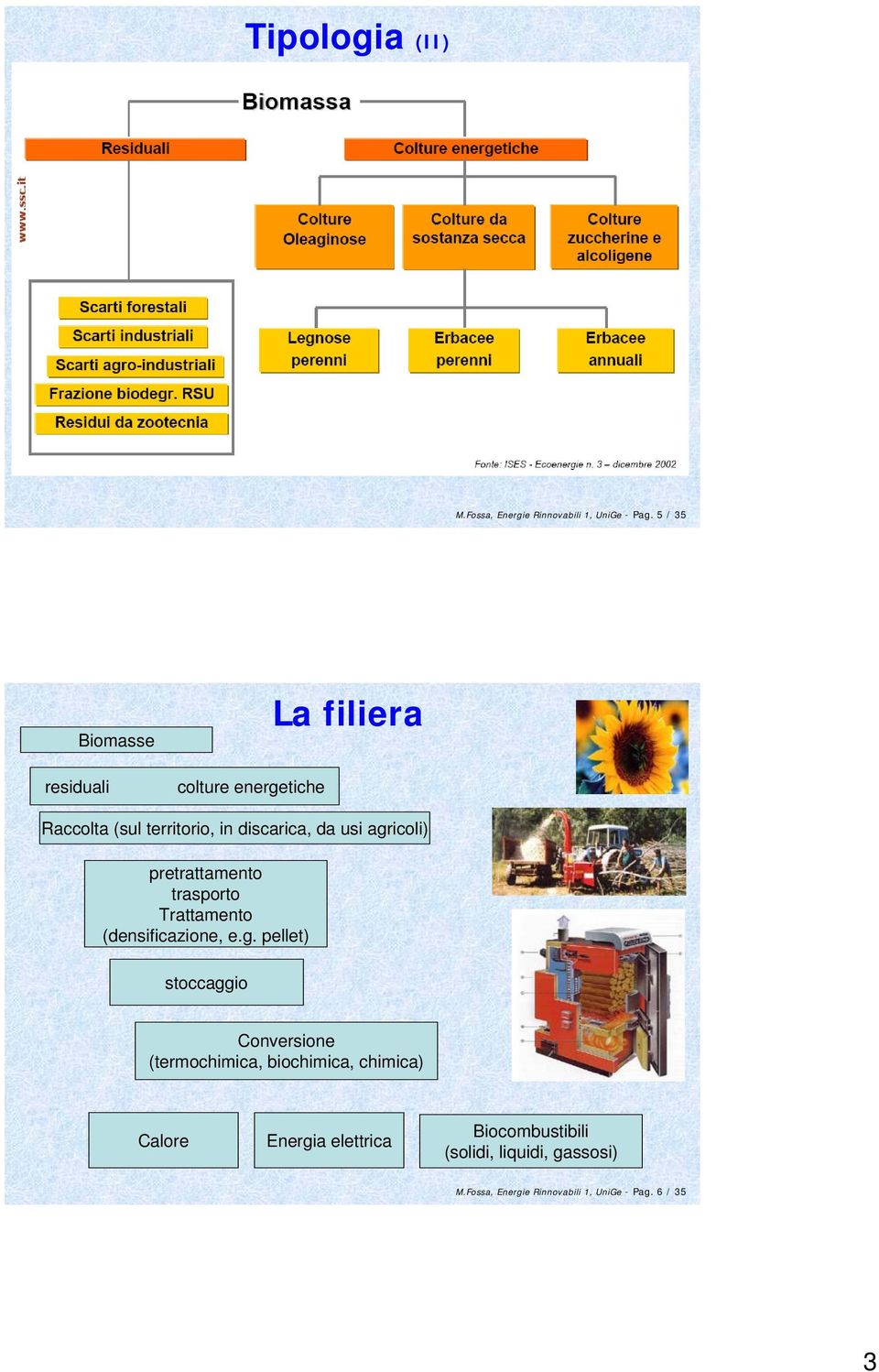 agricoli) pretrattamento trasporto Trattamento (densificazione, e.g. pellet) stoccaggio Conversione