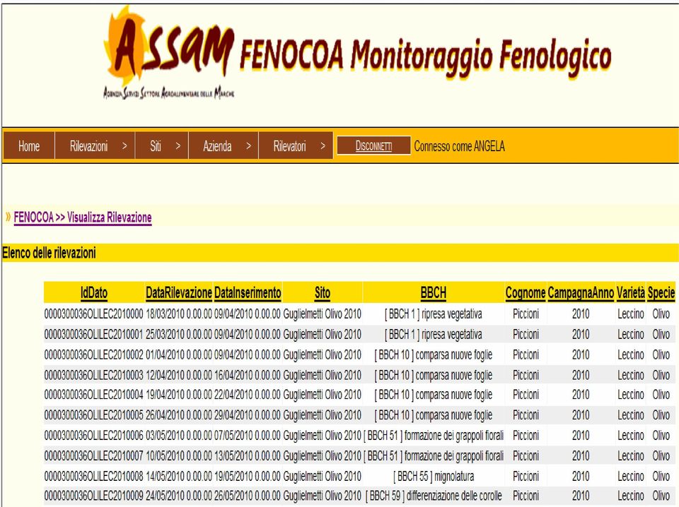 raccolti in una scheda cartacea ed archiviati in FENOCOA: