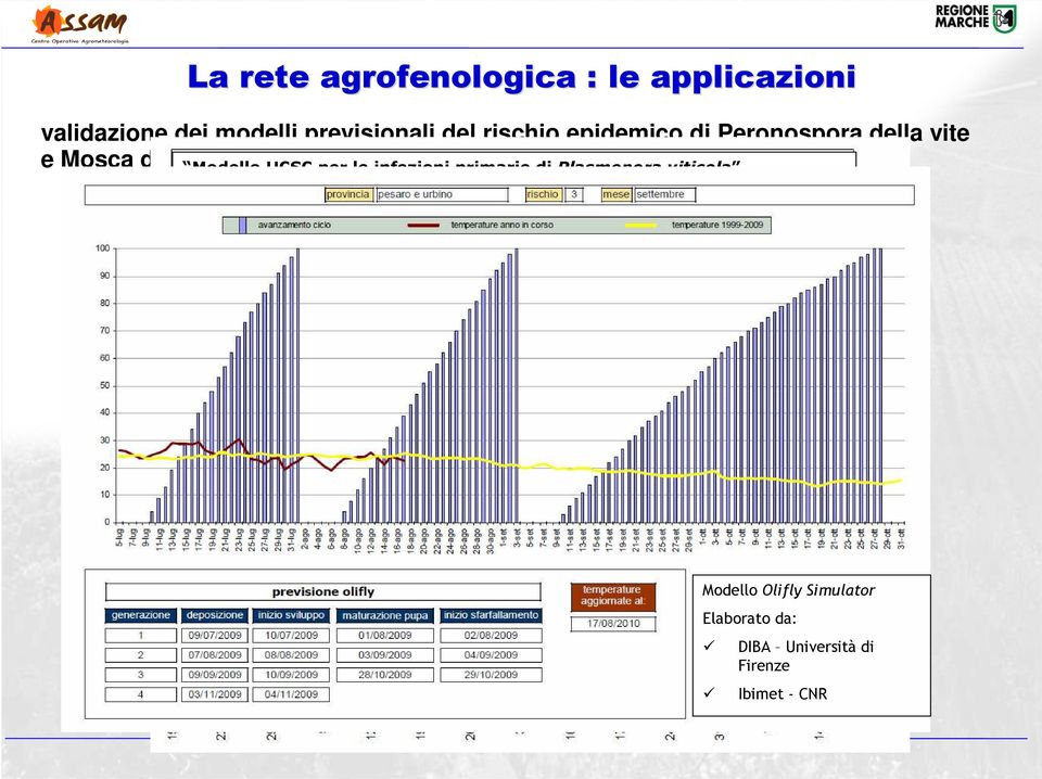 dell olivo Modello UCSC per le infezioni primarie di