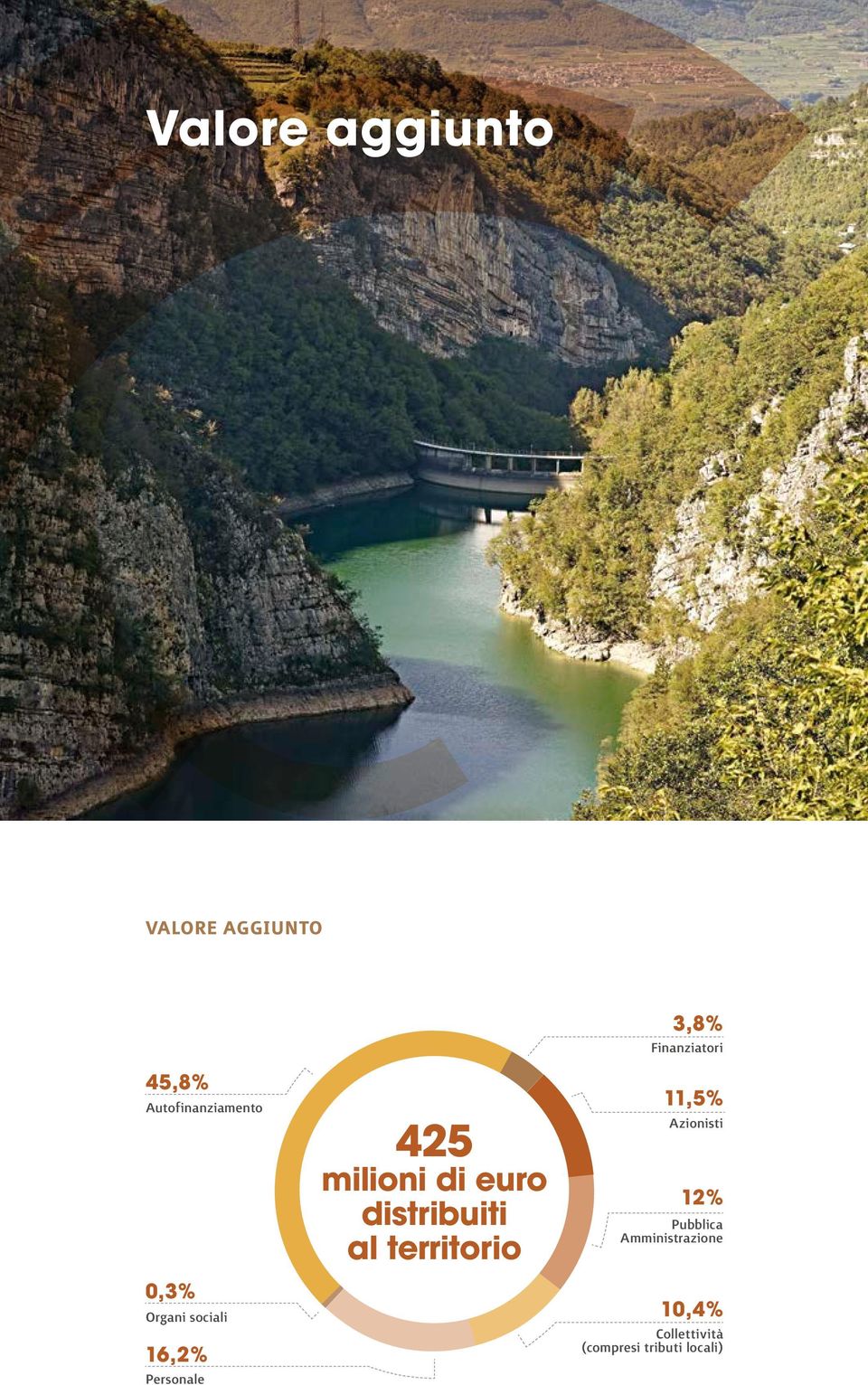 distribuiti al territorio 3,8% Finanziatori 11,5% Azionisti