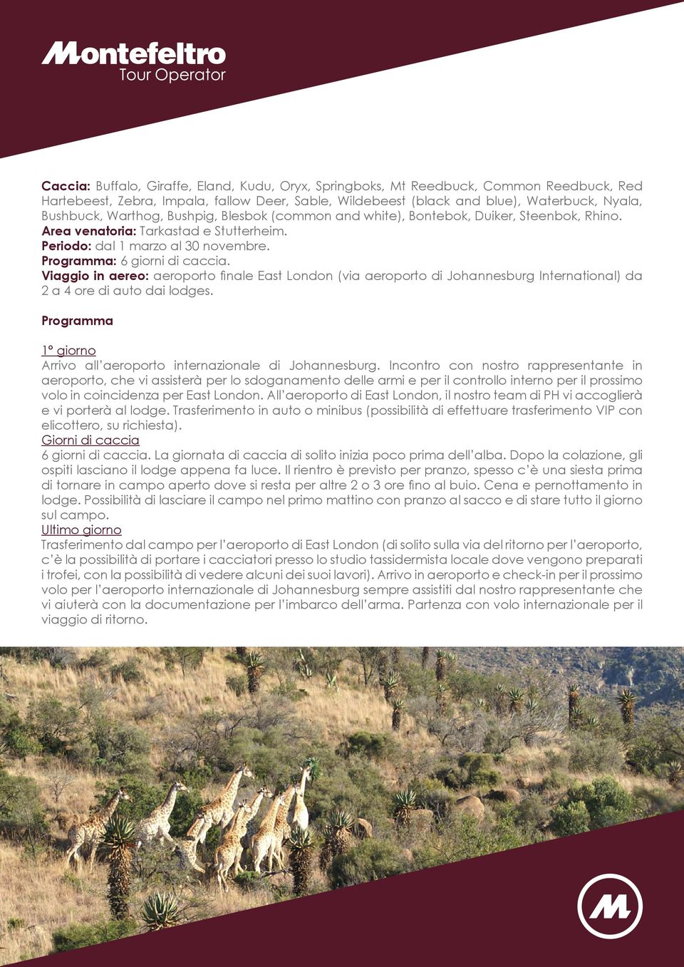 Viaggio in aereo: aeroporto finale East London (via aeroporto di Johannesburg International) da 2 a 4 ore di auto dai lodges. Programma 1 giorno Arrivo all aeroporto internazionale di Johannesburg.