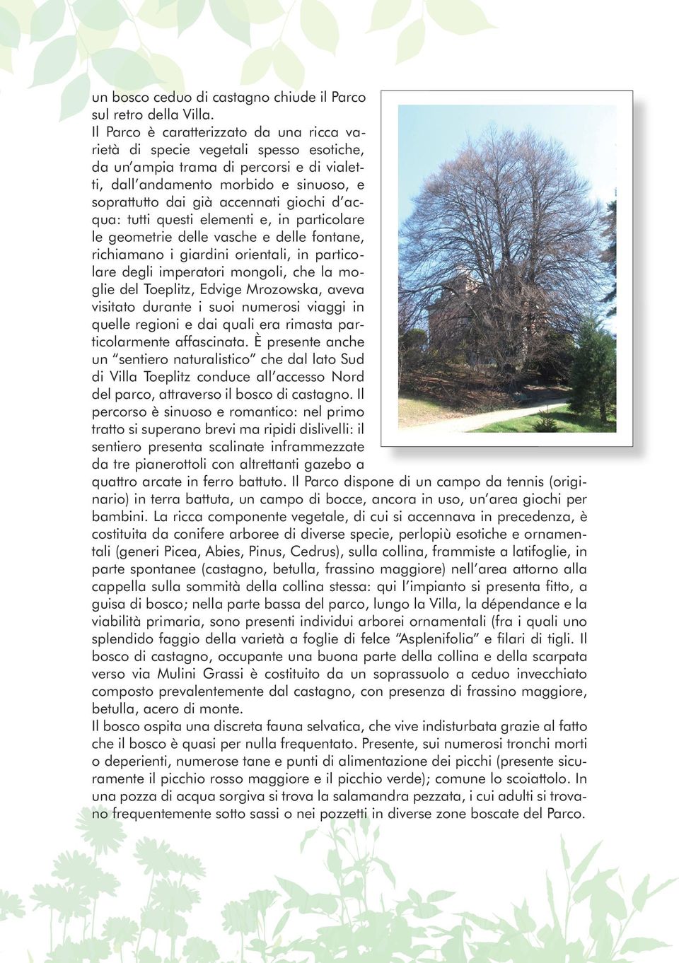 giochi d acqua: tutti questi elementi e, in particolare le geometrie delle vasche e delle fontane, richiamano i giardini orientali, in particolare degli imperatori mongoli, che la moglie del